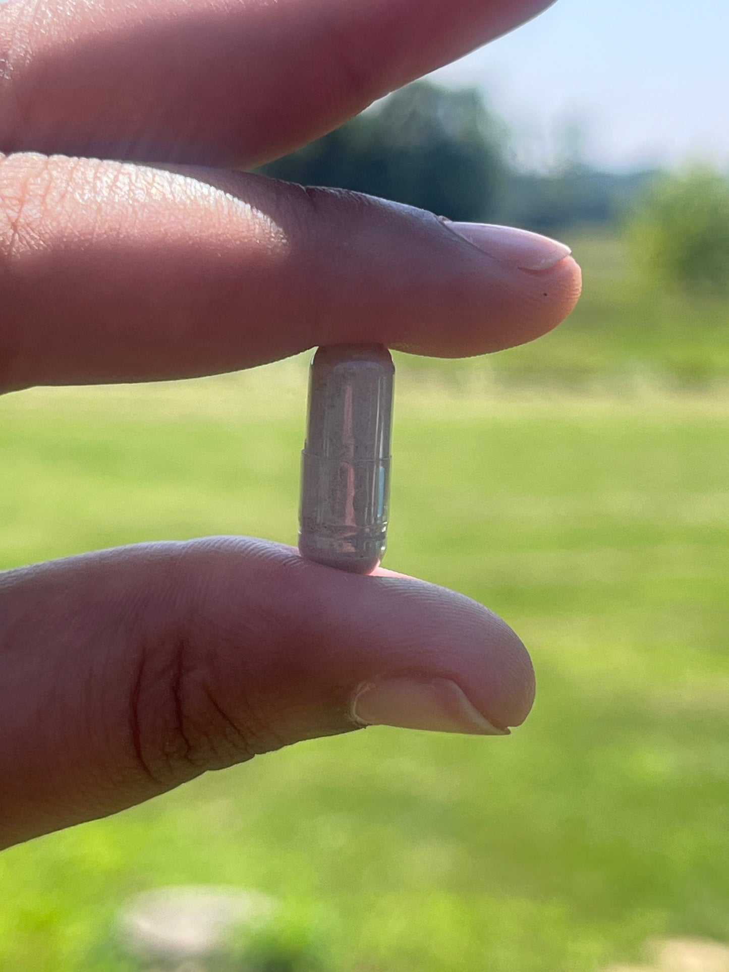 Organic Vegan Irish Sea Moss Capsules