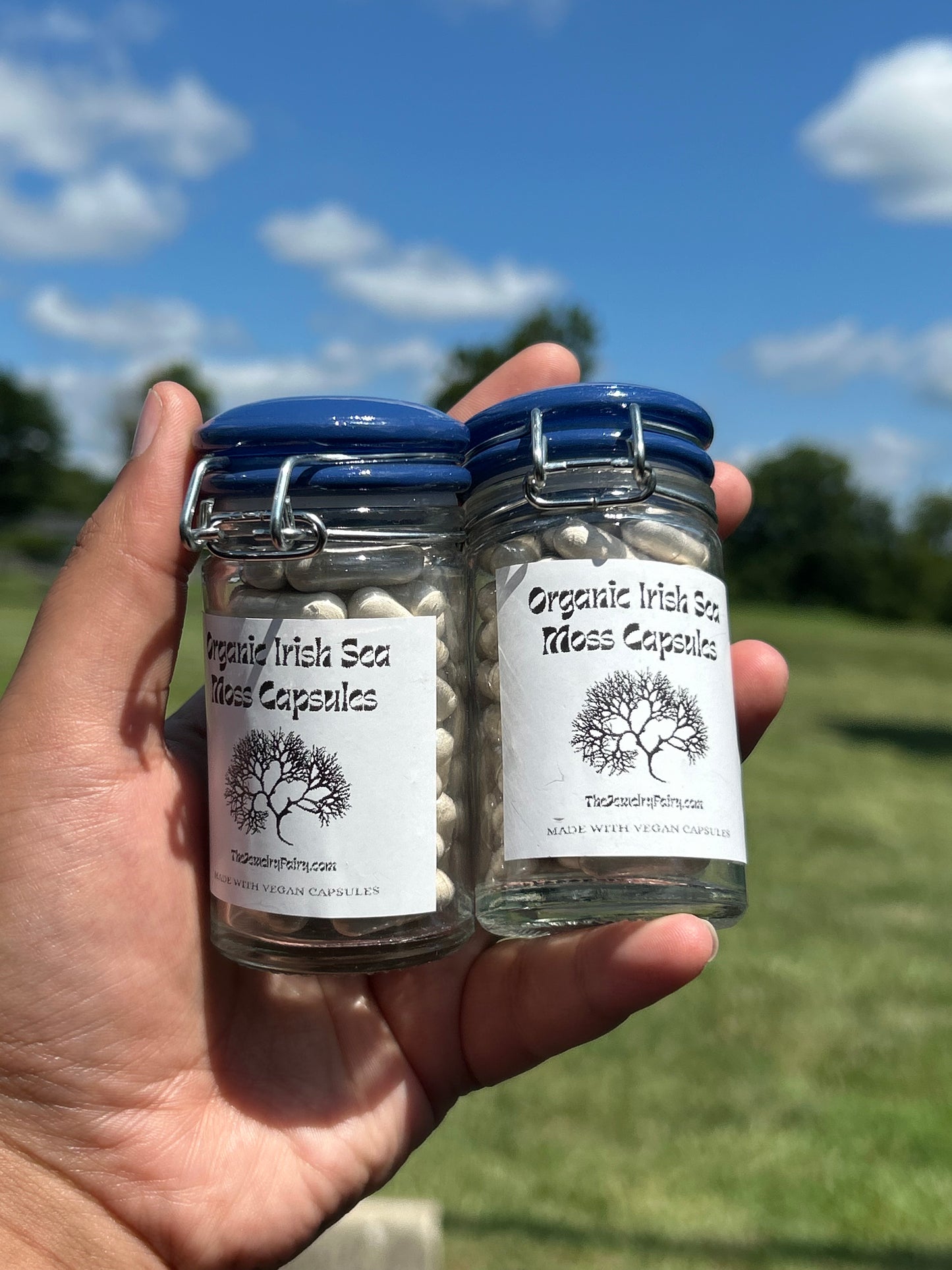 Organic Vegan Irish Sea Moss Capsules